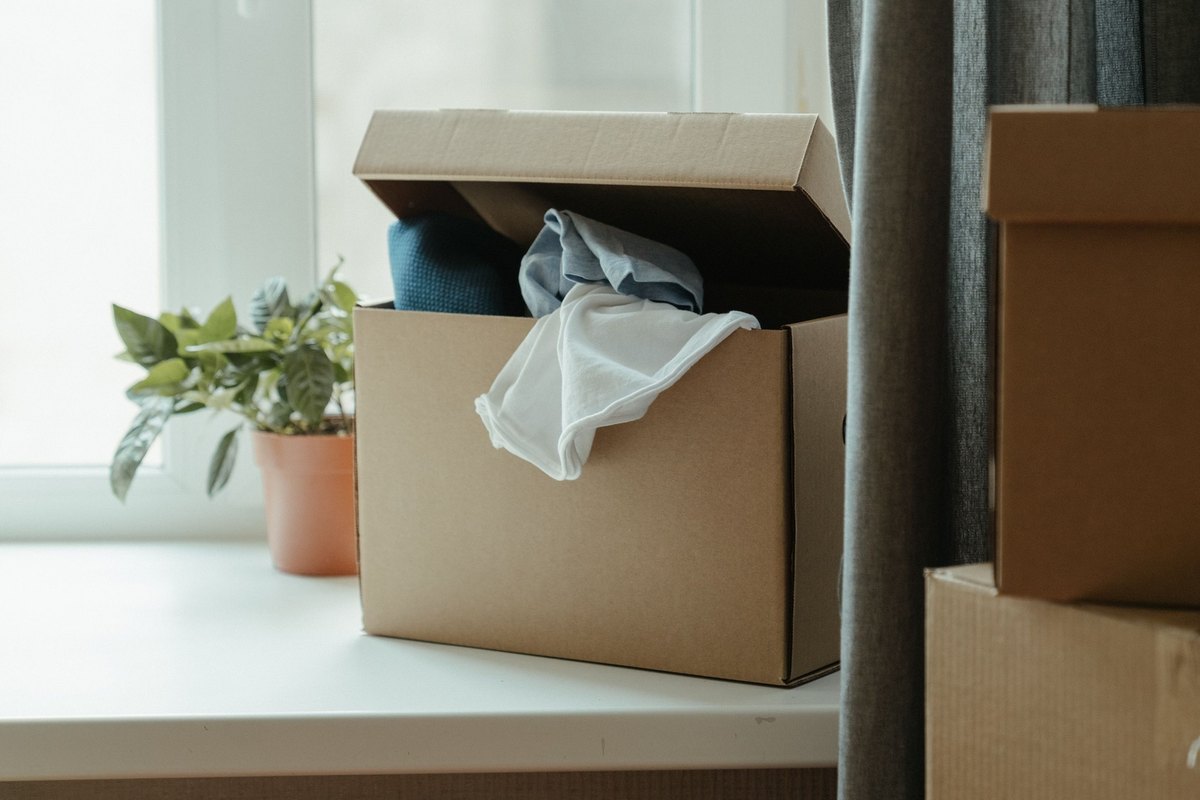 Cardboard box of folded blue and white clothes on a window sill by a plant